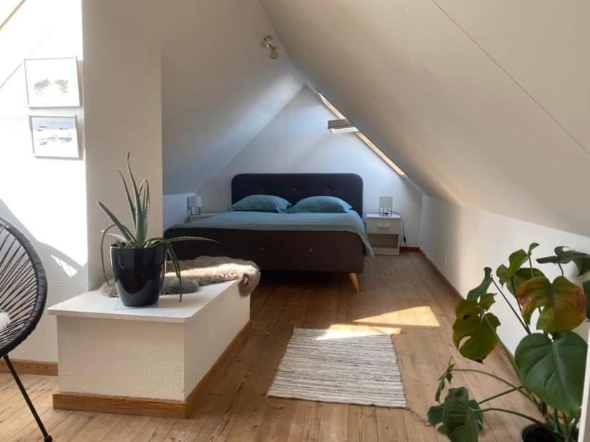 Christina Apartamento Ålborg Exterior foto